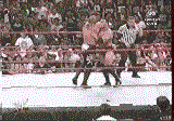 wrestle.gif